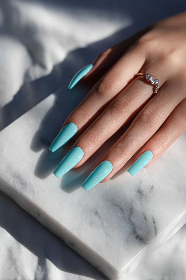Sleek Long Coffin Silhouette Nails